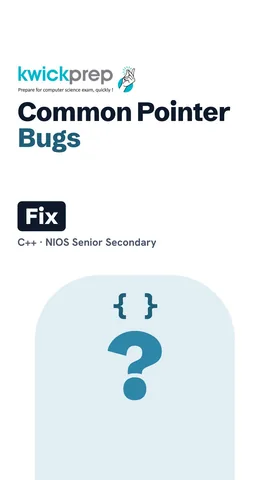 Table of pointer bugs: wild, dangling, leak, null.