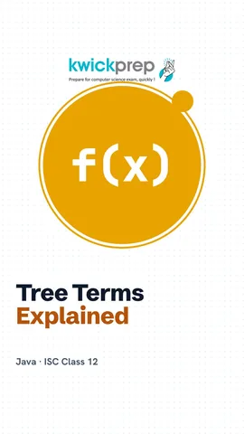 A table of tree terms: root and leaf, degree, level and depth, and height.