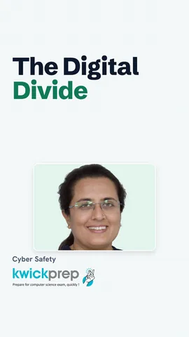Causes of the digital divide and schemes that address it.
