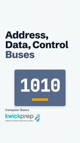 Table: address bus where one way, data bus what two way, control bus read or write two way.
