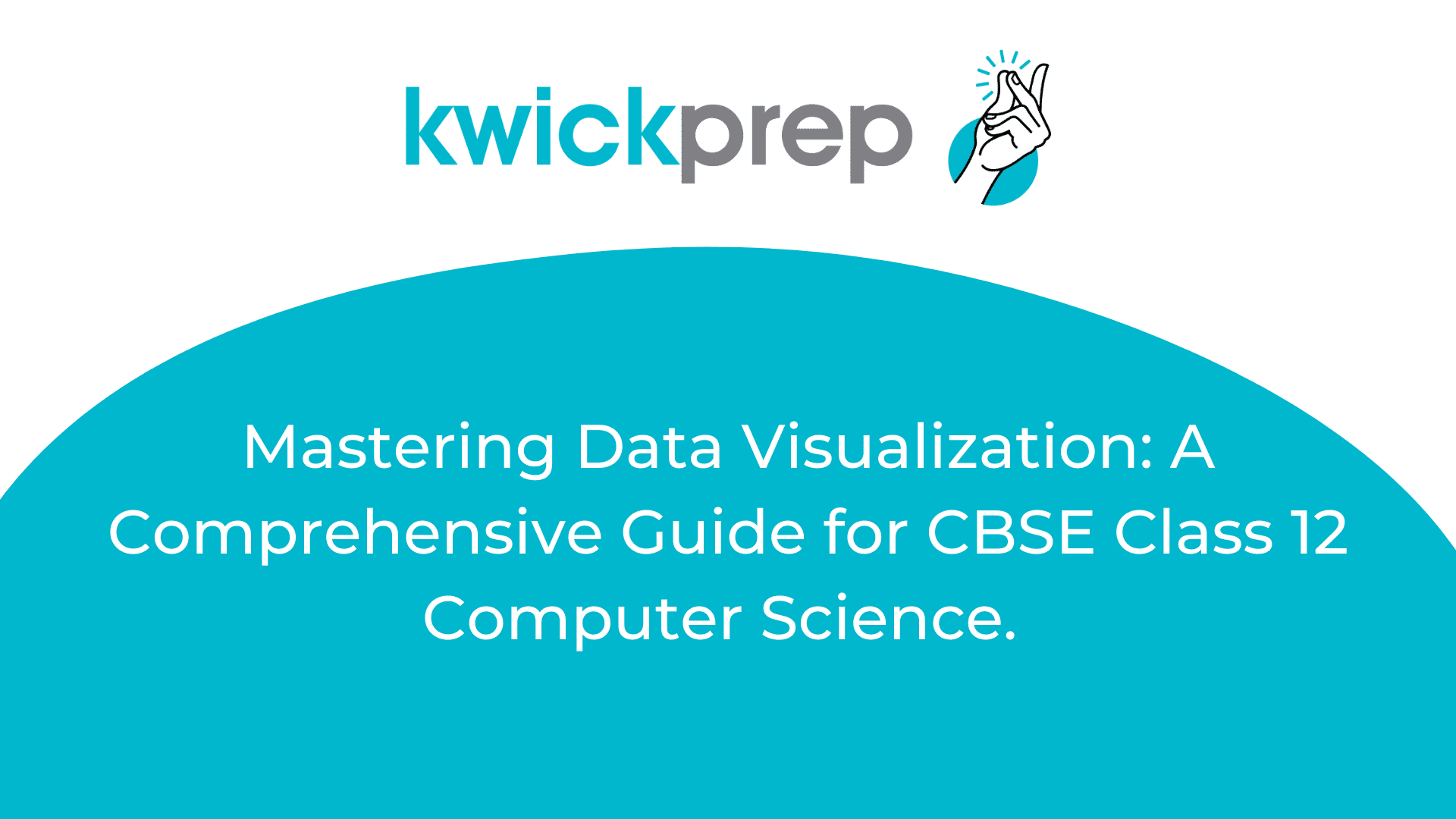 Mastering Data Visualization: Comprehensive Guide for CBSE Class 12th CS Banner